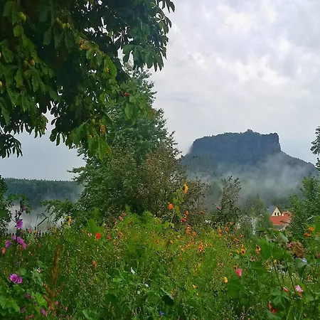 Xxl In Struppen Struppen